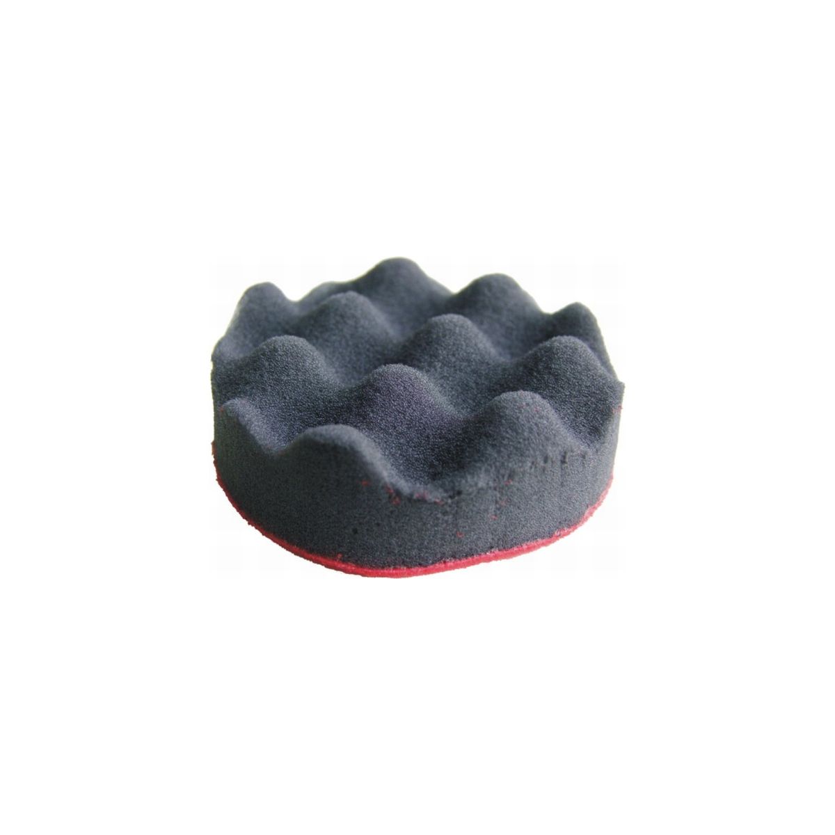 Waffelschwamm Waffelschwamm
